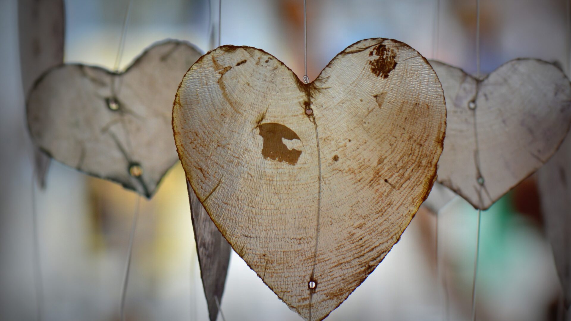 50 jaar vorming in Huissen