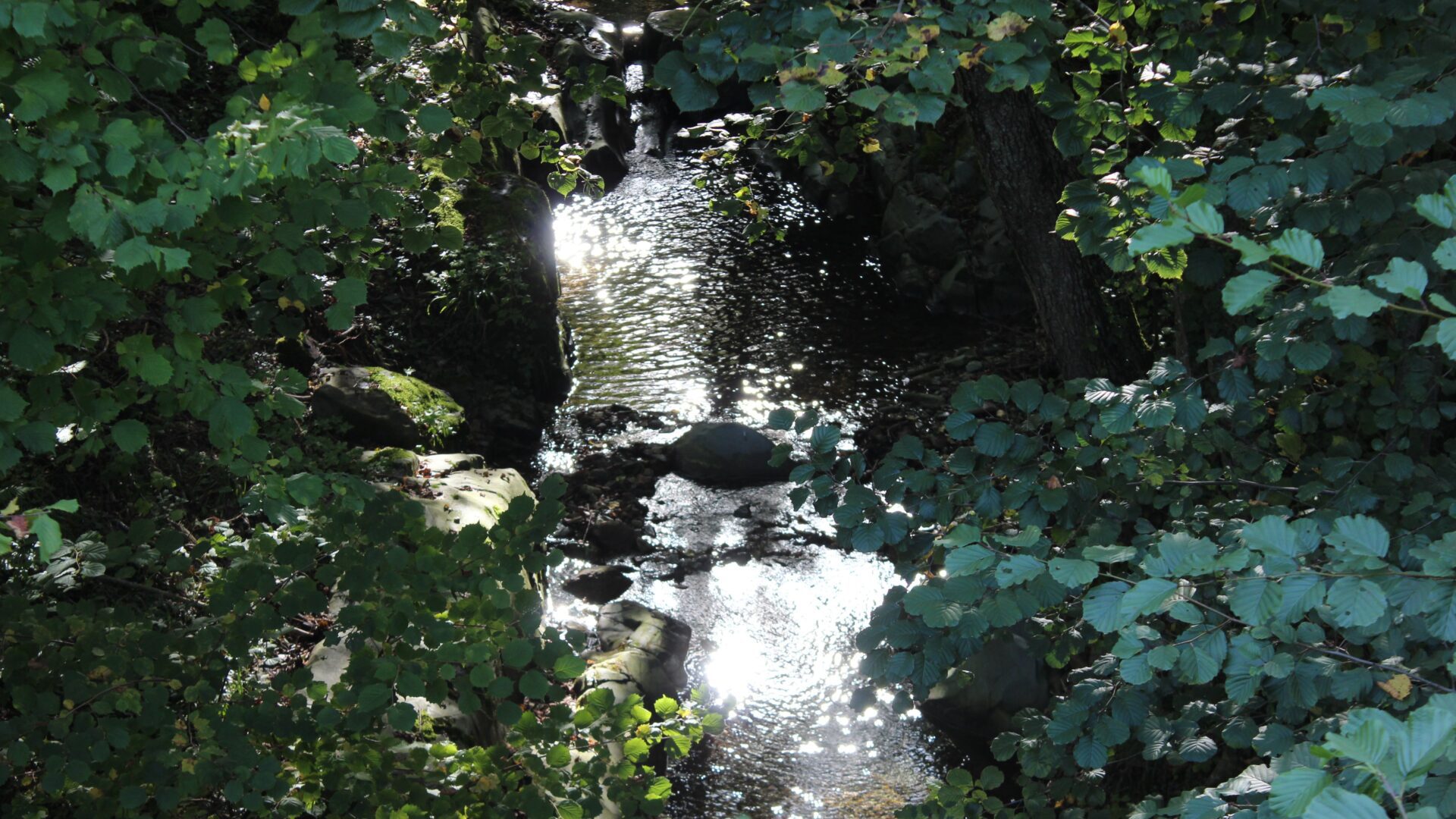 In drie stappen je balans hervinden