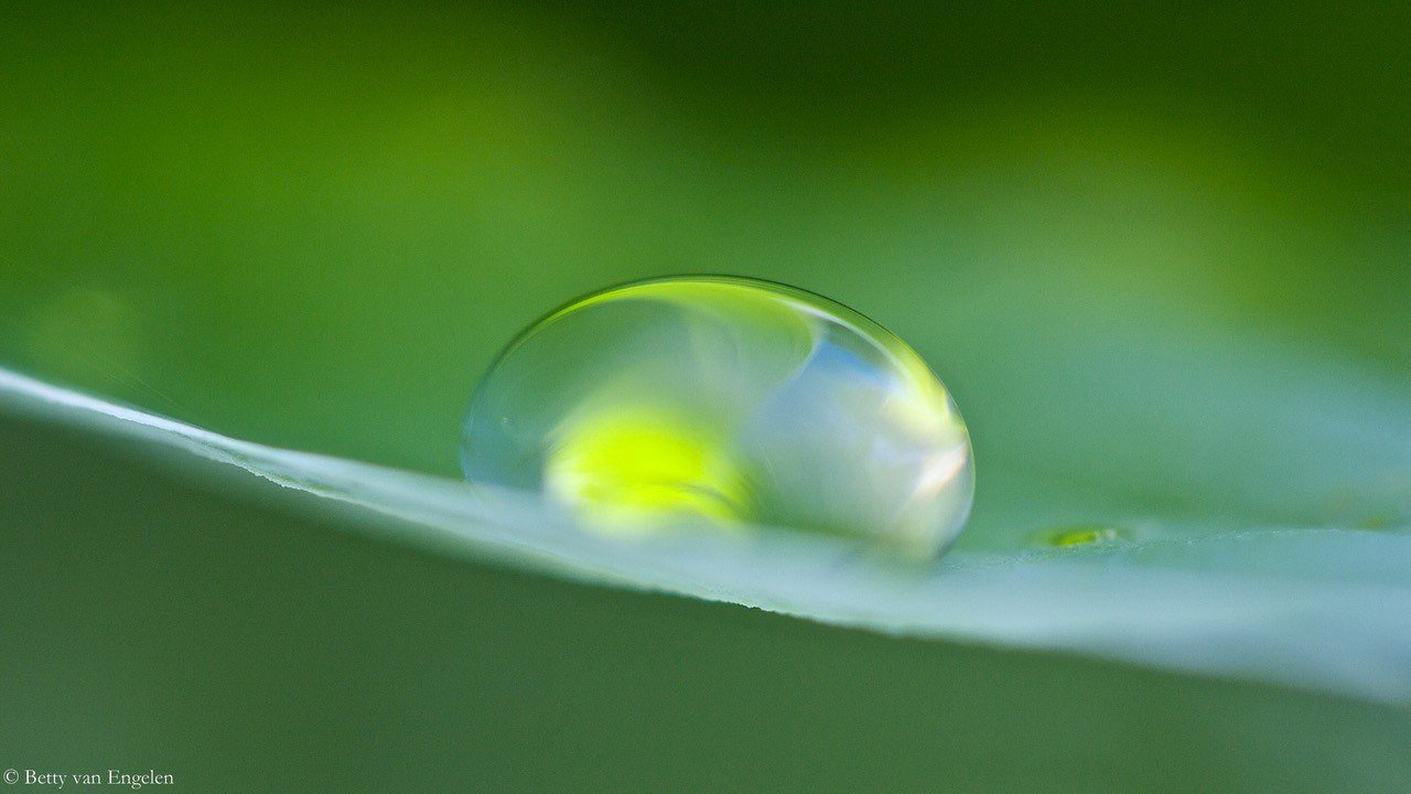 In verbinding met het Licht