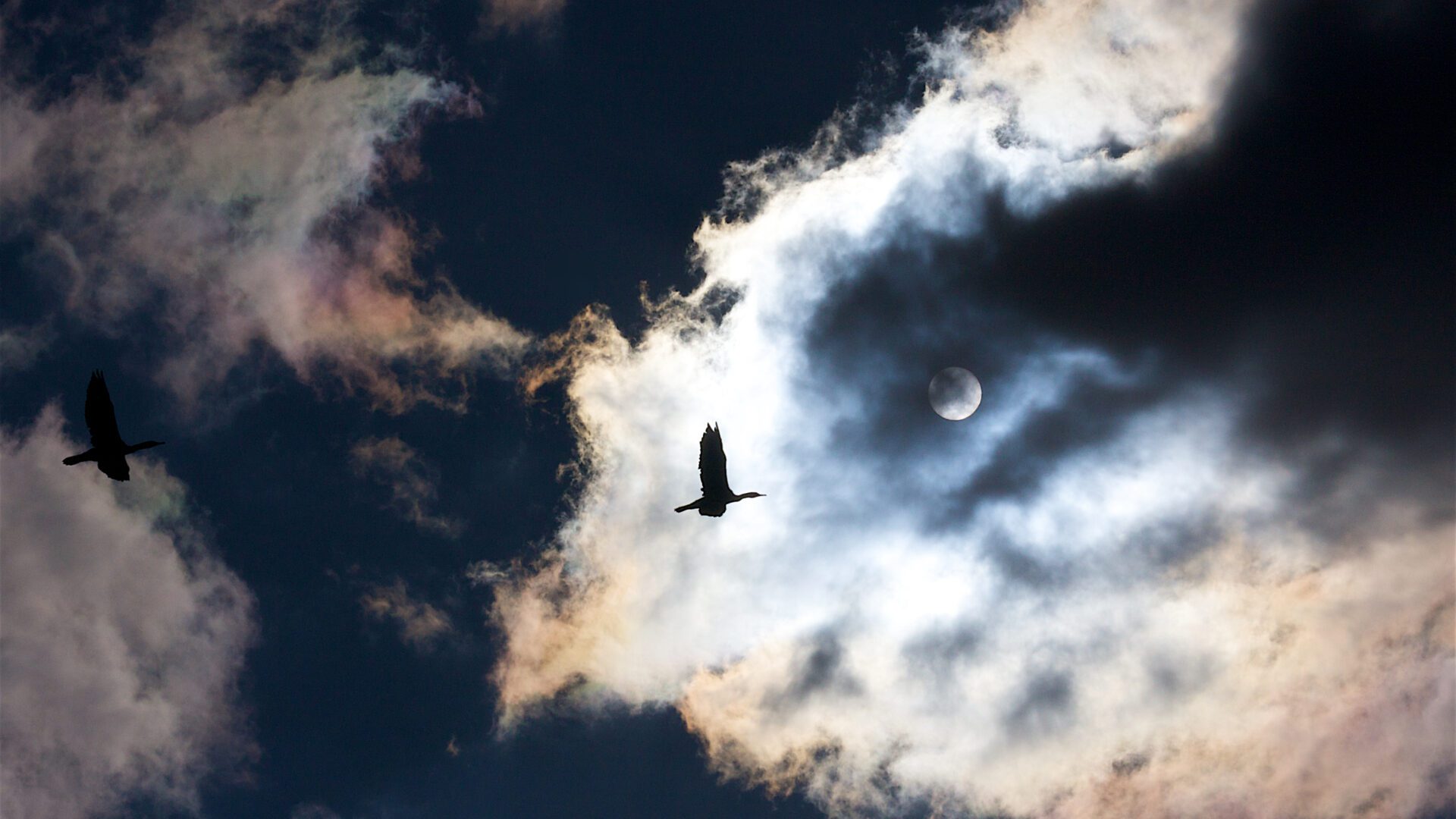 Brief aan Meester Eckhart