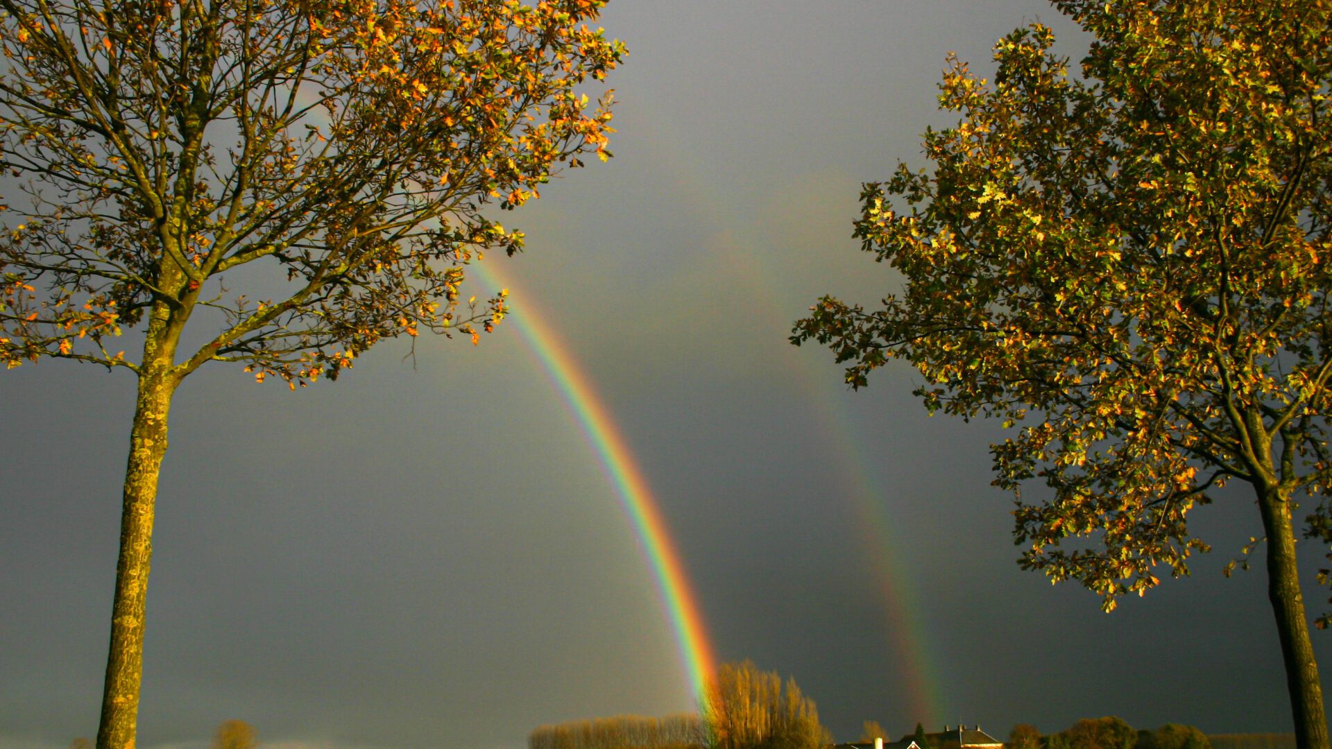 Vergeven om je te verlossen van je eigen pijn