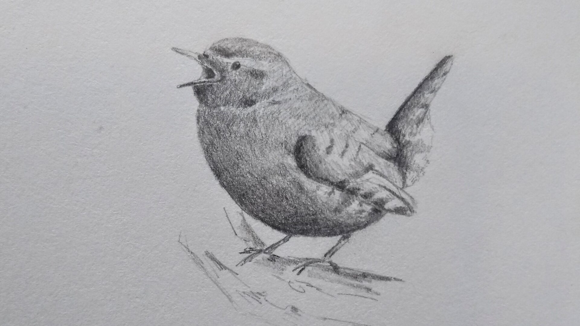 Dagboek van een tuin - deel 2