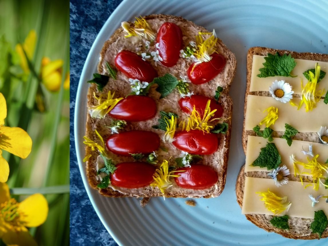 Dagboek van een tuin - deel 1