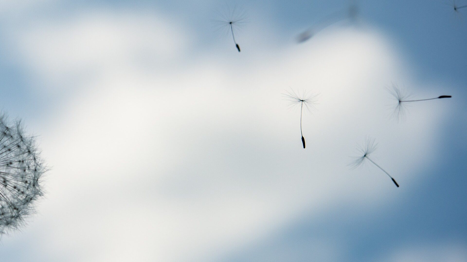 Over alles wat kwetsbaar is