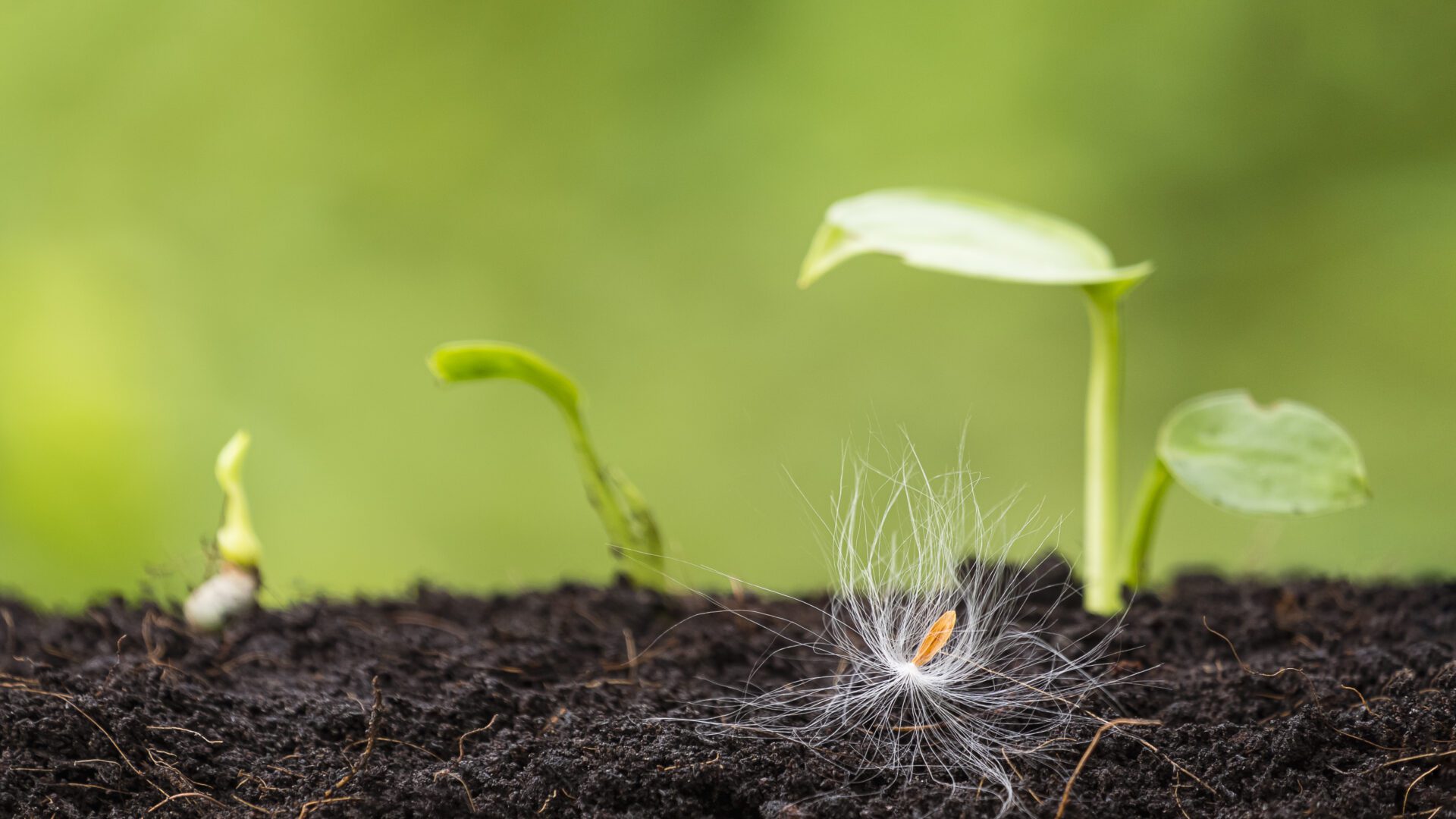 Groeien volgens je eigen aard en kracht