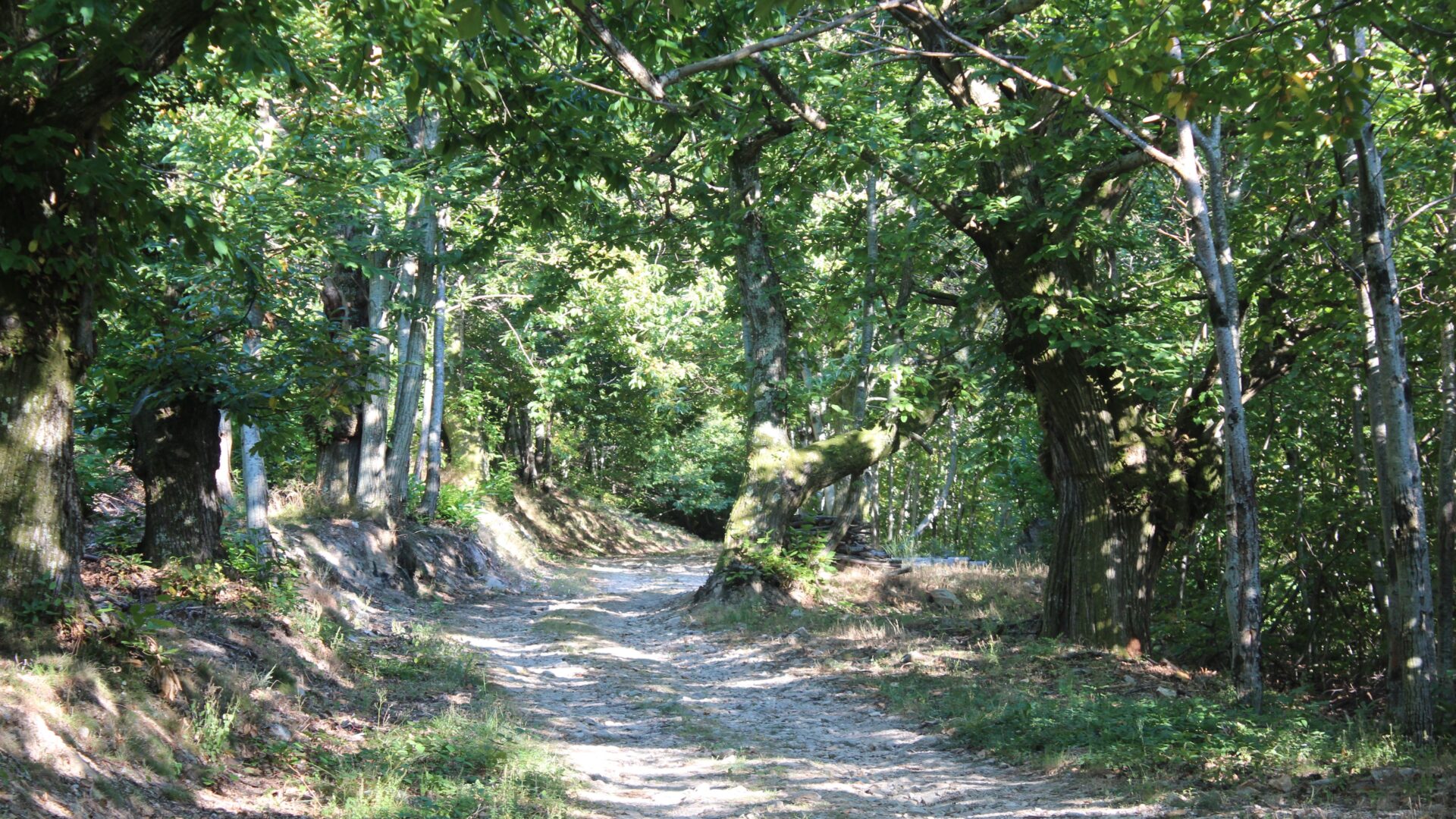 Meditatie in het dagelijks leven