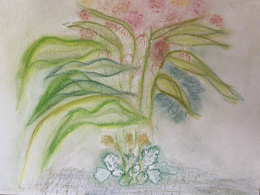 Bron van levensenergie