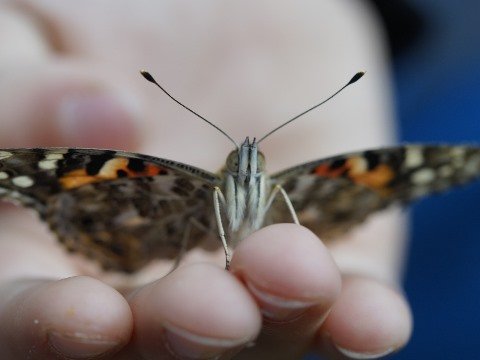 Kloostersessie Van heksenjacht tot homohuwelijk