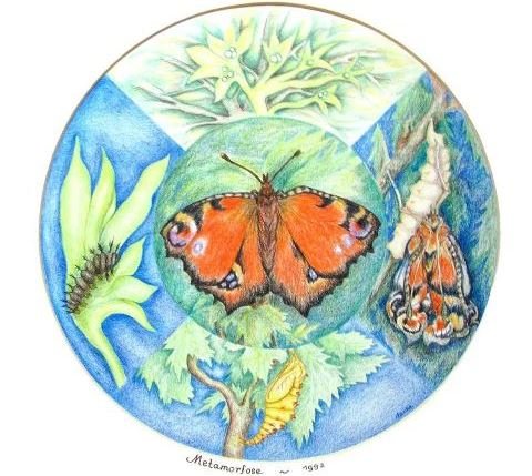 Pinksterweekend Mandala - Metamorfose