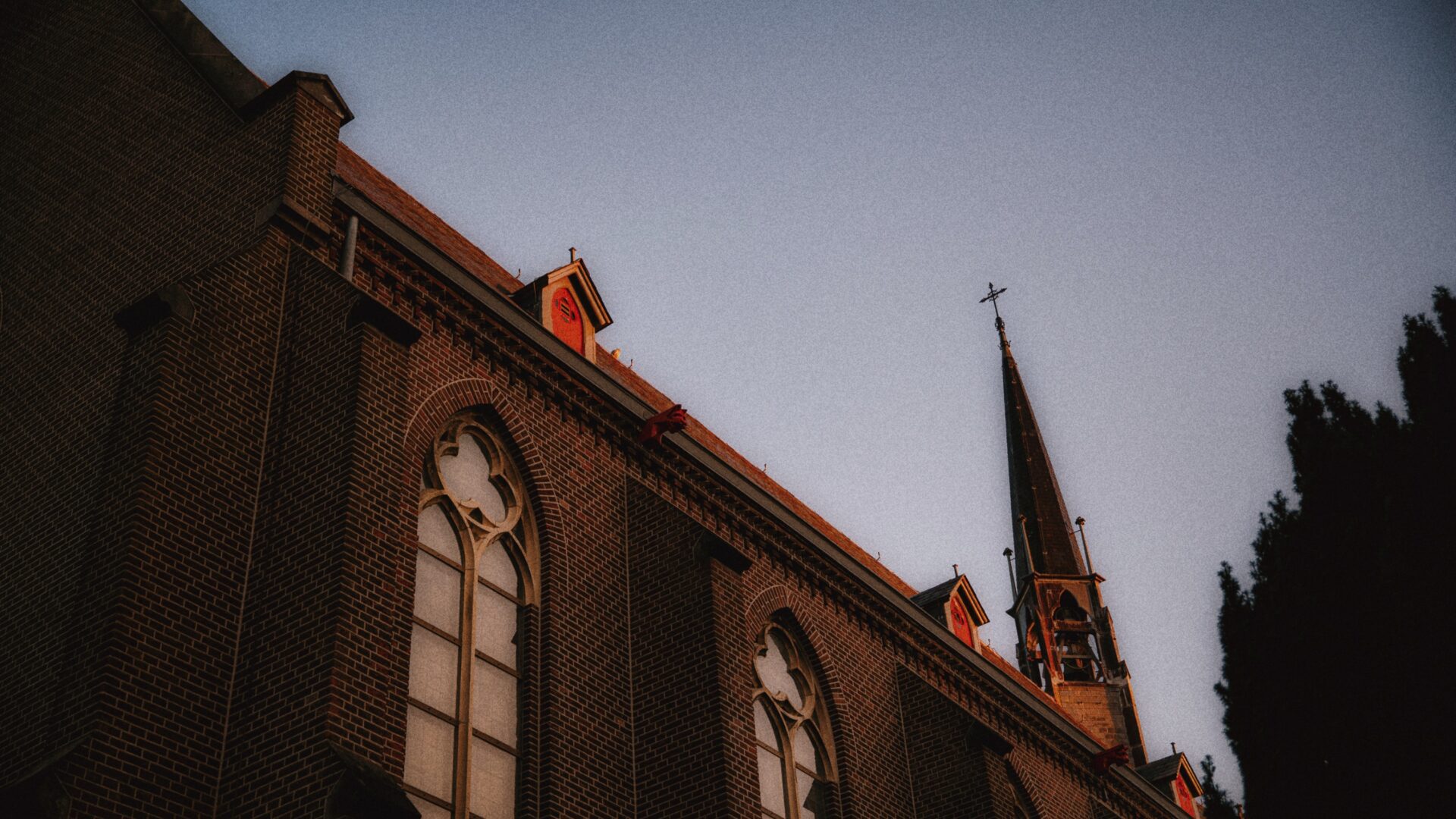 De wensboom en de verborgen deugd van volharding