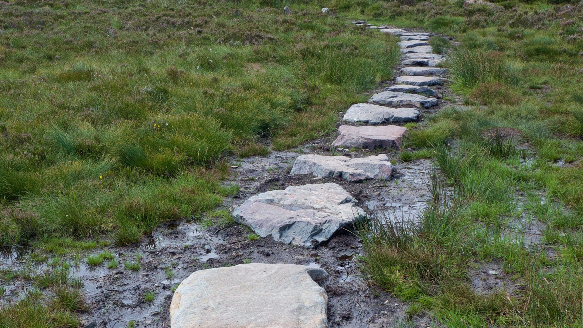 Peacewalkers gezocht