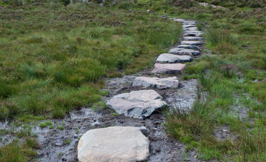 Peacewalkers gezocht