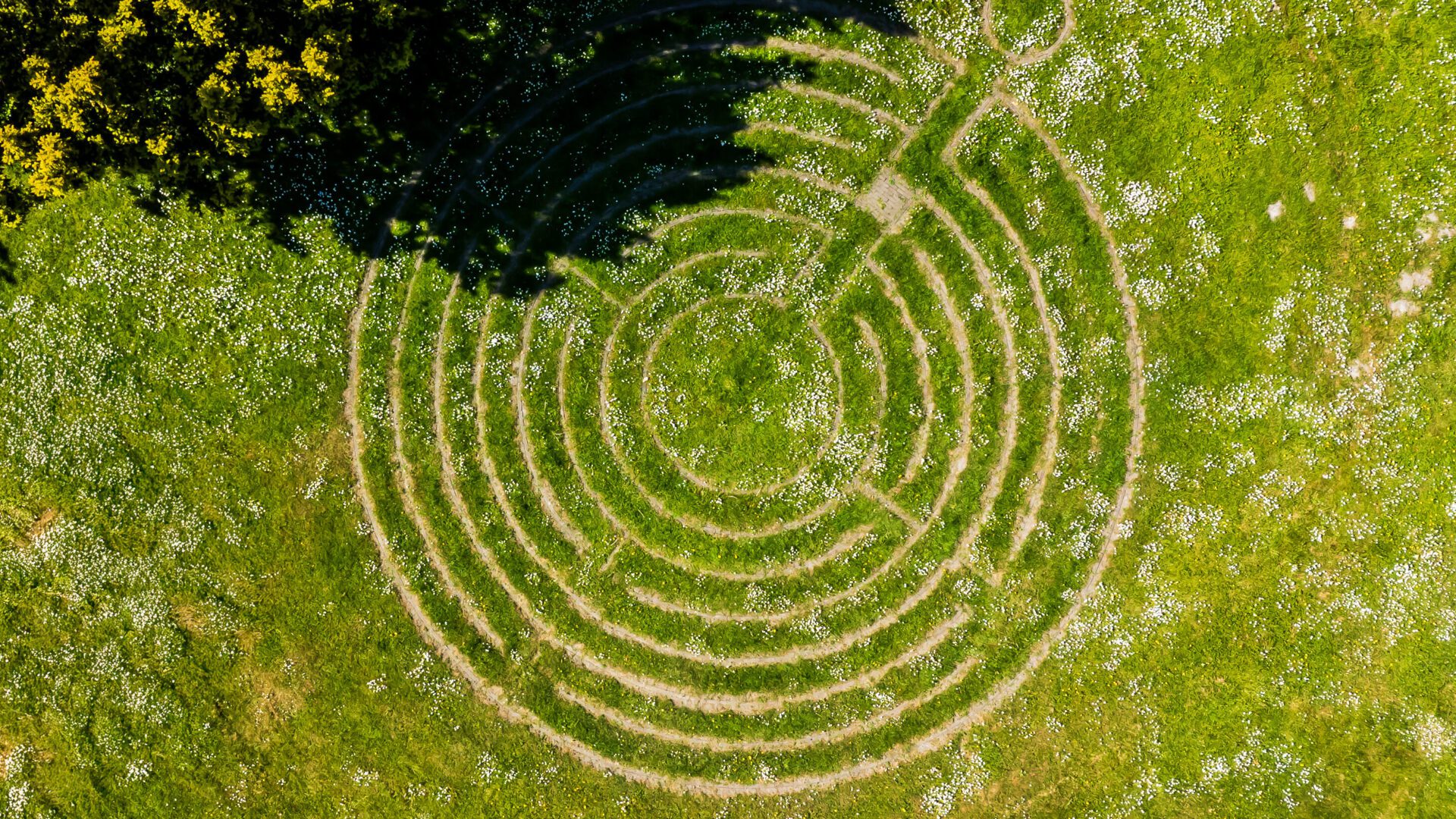 Meerdaagse workshop De innerlijke metamorfose