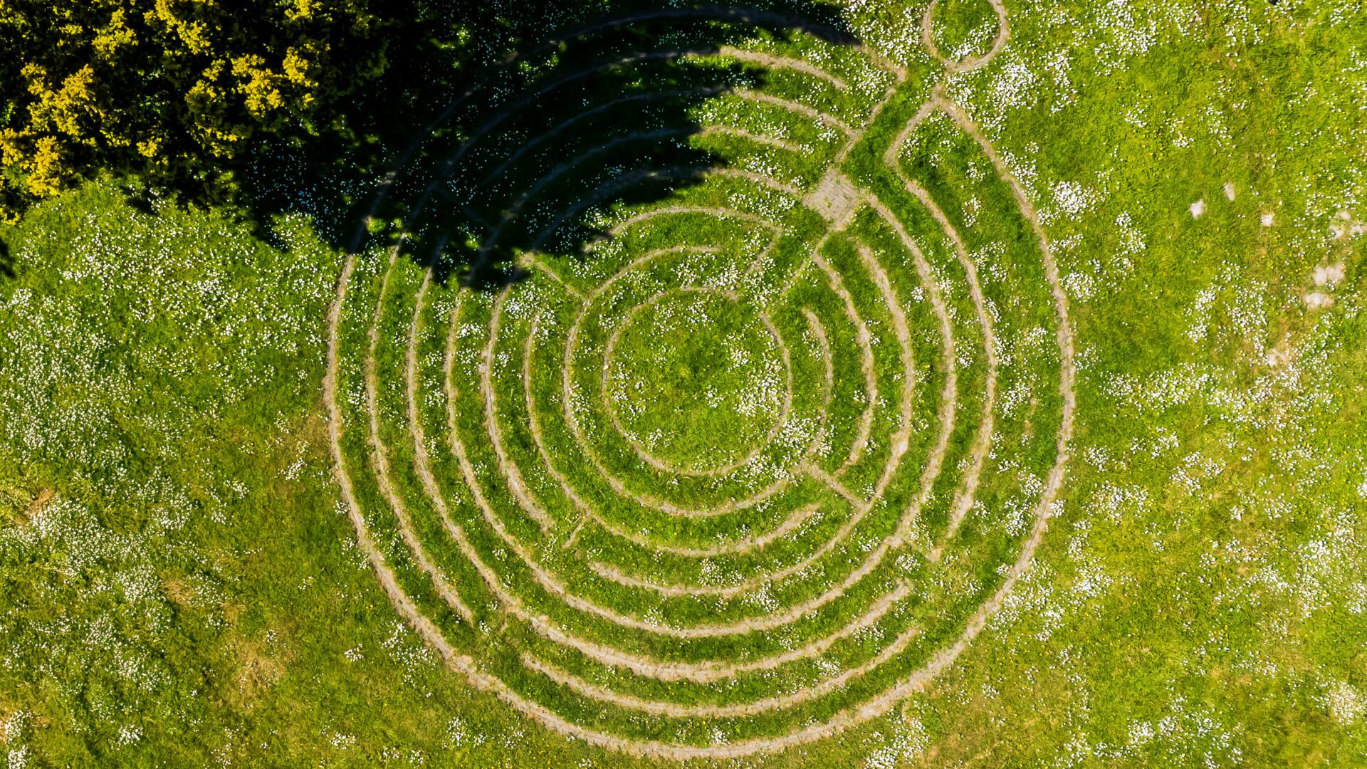 Jouw verhaal doet ertoe - Vrij vertellen van je eigen herstelverhaal