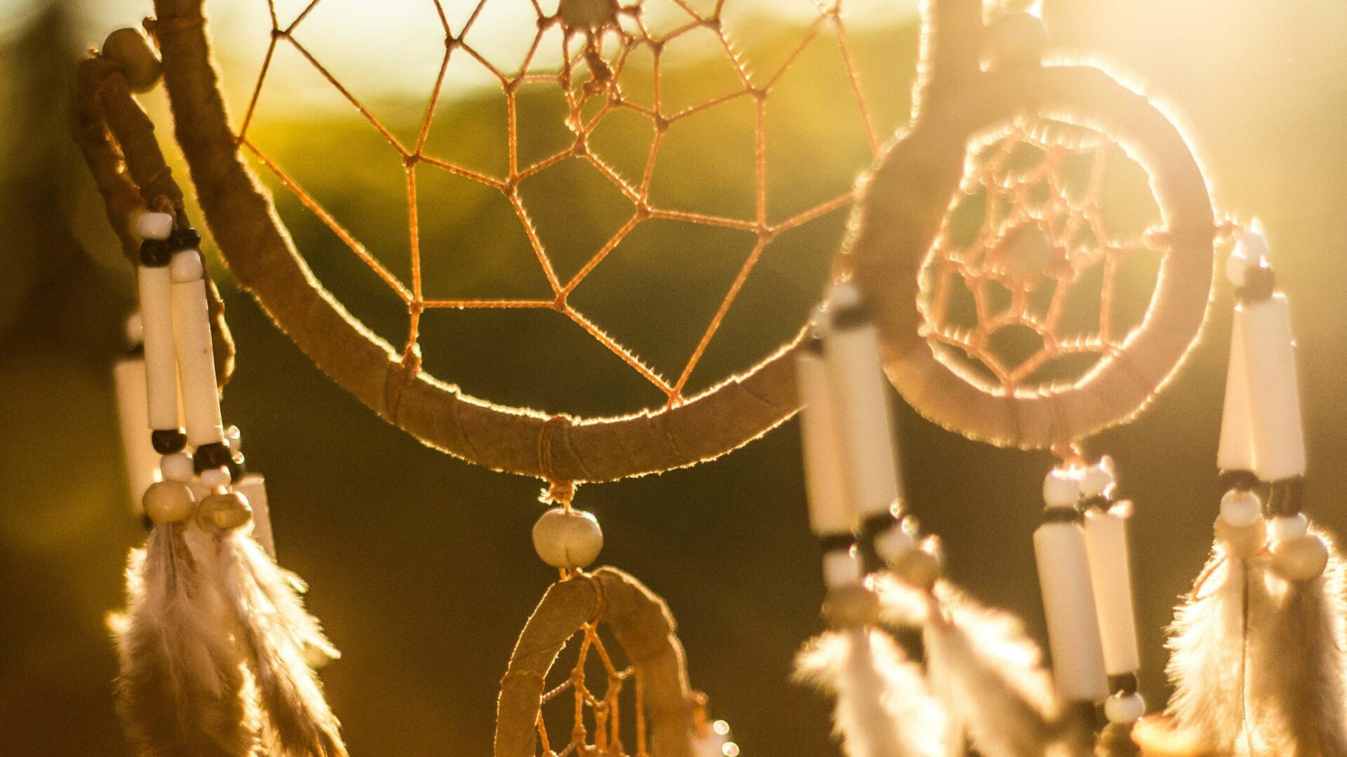 Meerdaagse Dromen: Wat de nacht aan het licht brengt