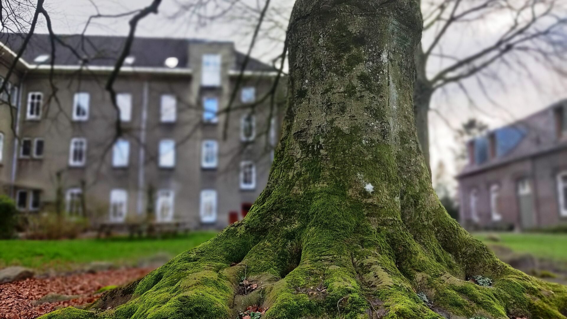 Weekendretraite Stevig in je basis