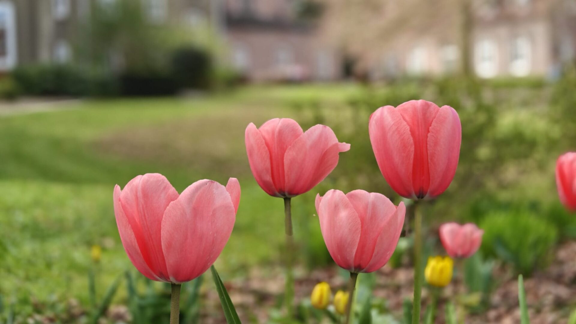 Een plek om op adem te komen